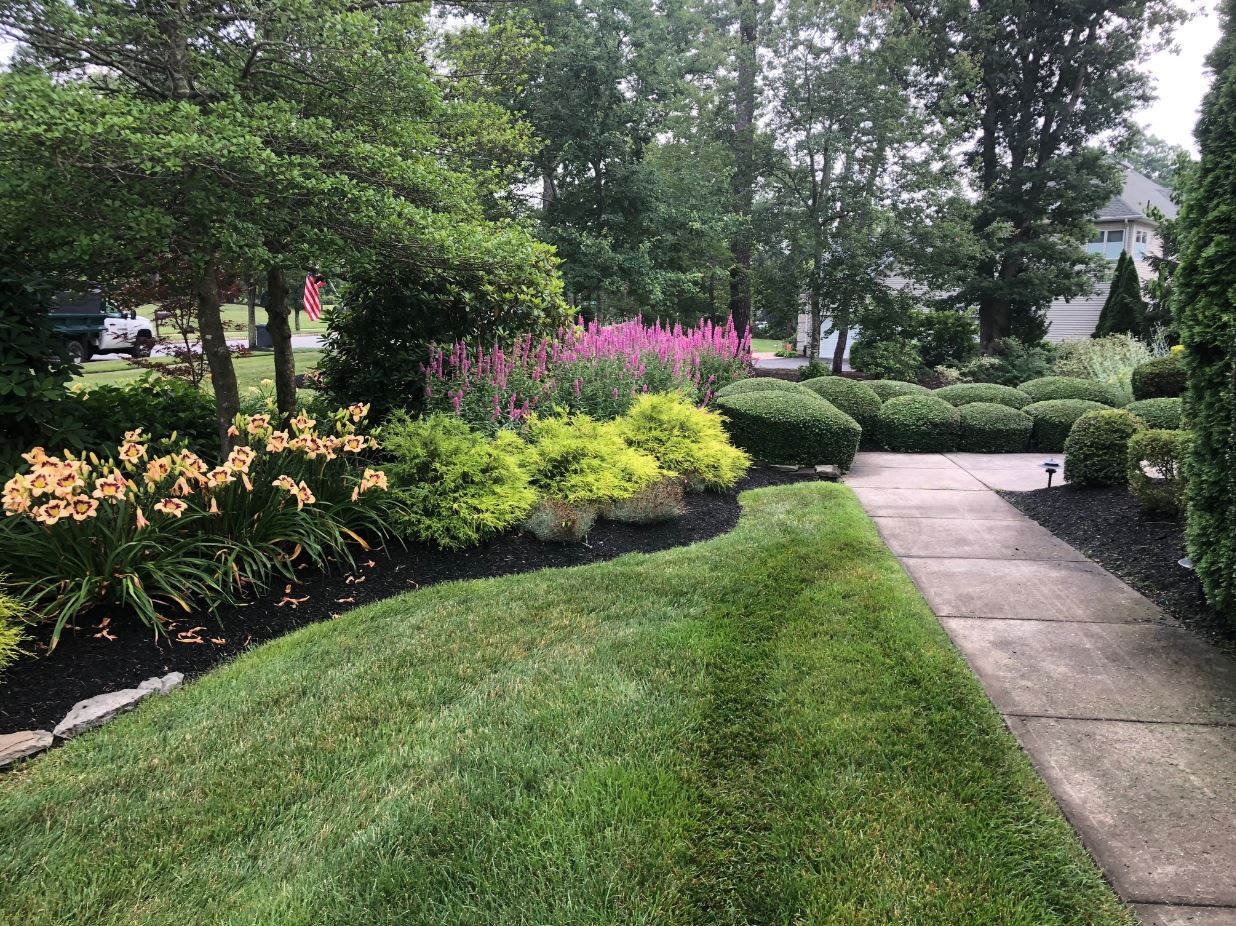 Landscaped Residential Mulch Bed with Flowers and Shrubs By The Yard