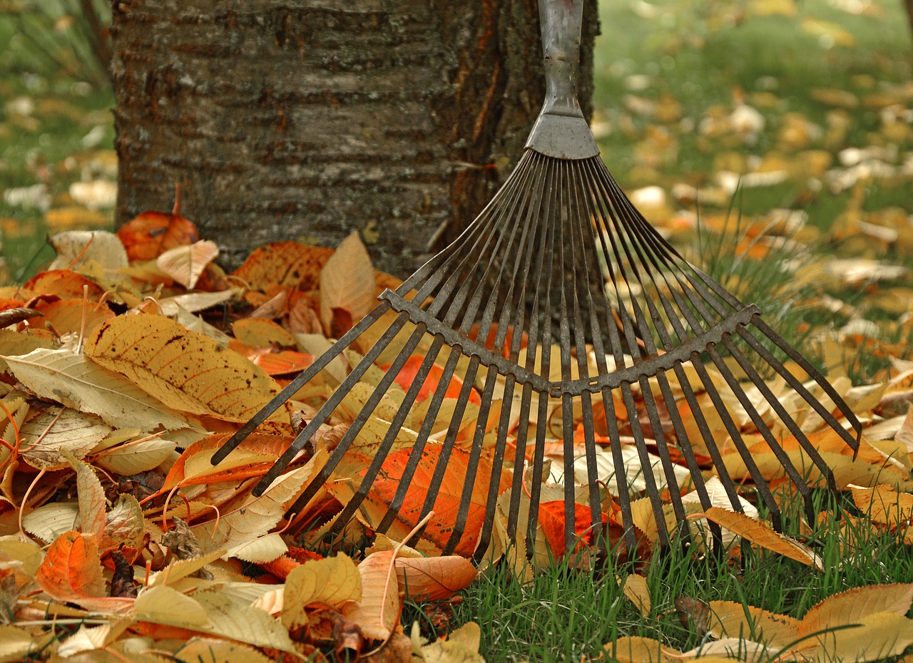 Spring and Fall yard cleanups from  By The yard Landscaping in Little Egg Harbor New Jersey