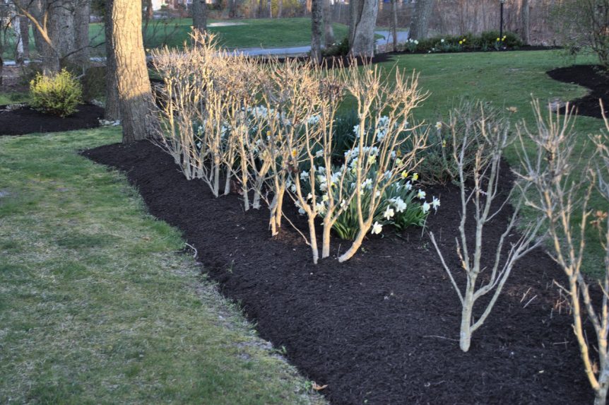 3 Reasons Why You Should Mulch Your Flower Beds in the Spring - BTYScapes.com