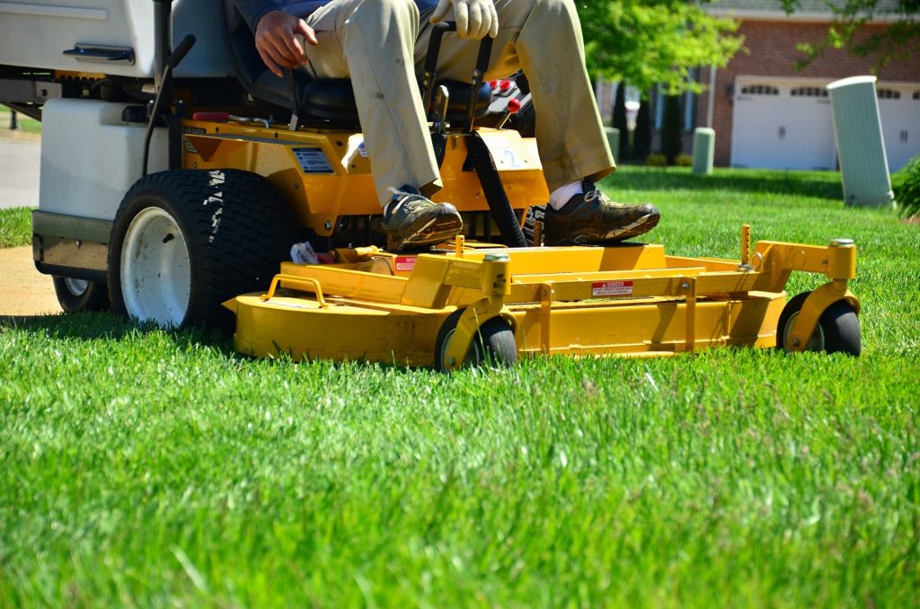 Follow the one-third rule: Never cut more than one third of your lawn grass at any one cutting