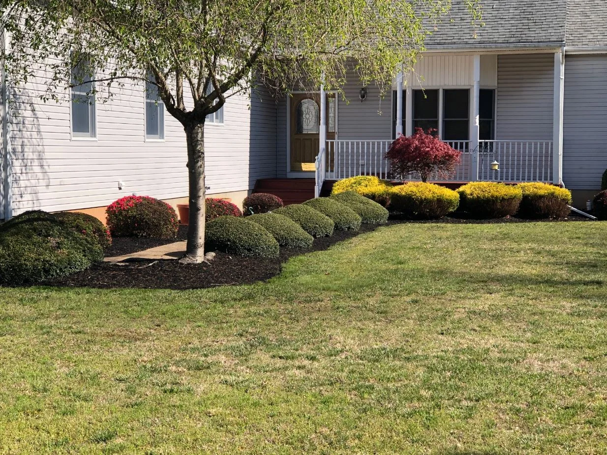 Emergency lawn care in southern ocean county By The Yard Landscaping and Lawn Care Services