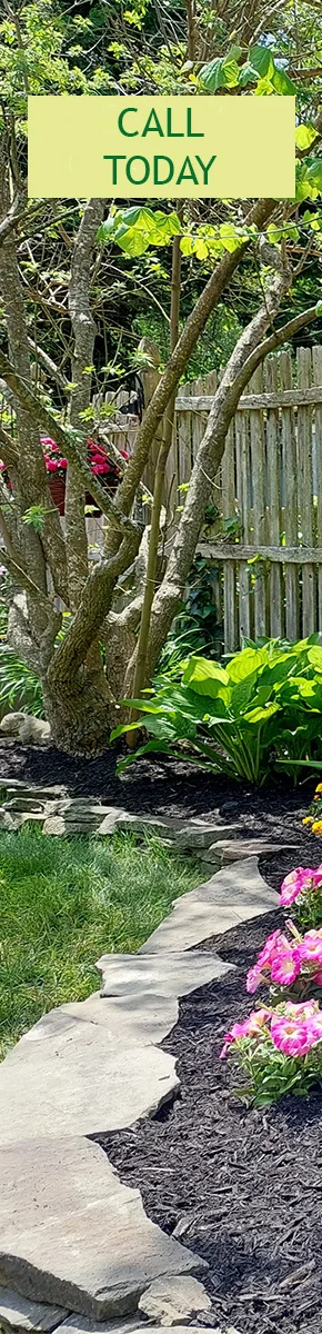 By The Yard Landscaping Call Today