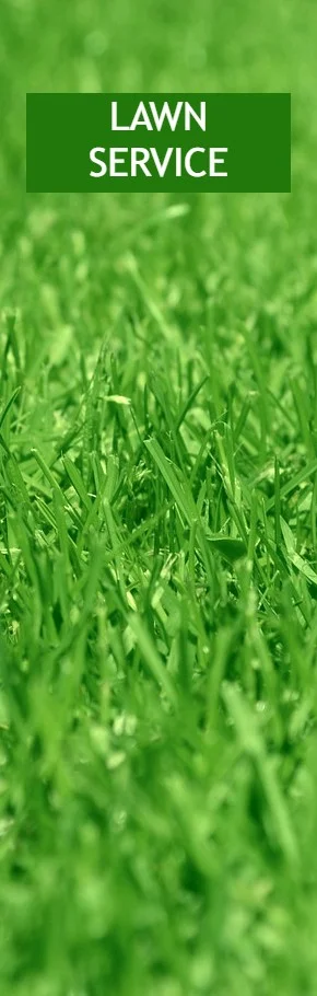 Lawn mowing and grass cutting specials at By The Yard Landscaping in Little Egg Harbor Township New Jersey